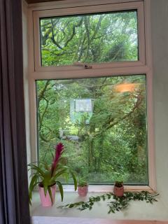 Cosy barn conversion in Cornwall - Redruth - 3
