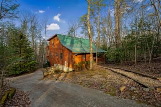 Peaceful Living Minutes from Blue Ridge hot tub pool table - Blue Ridge - 8