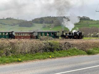 Upper Dolarddyn - Welshpool - 4