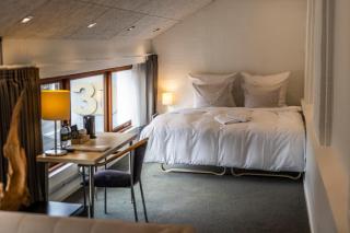 Hotel Birksø - Ry - 7
