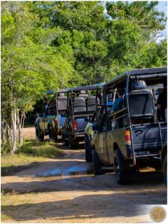 Wilpattu Safari Resort - Nochchiyagama - 2