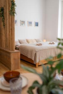Apartmán Vratislaváček - Třeboň - 8