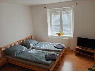 Apartmán Trencan FREE PARKING CITY CENTRE - Trenčín - 4