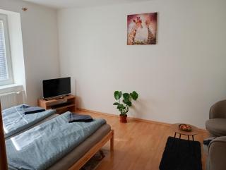Apartmán Trencan FREE PARKING CITY CENTRE - Trenčín - 3