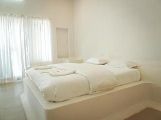 Mama killa- Villa Stays - Pushkar - 3
