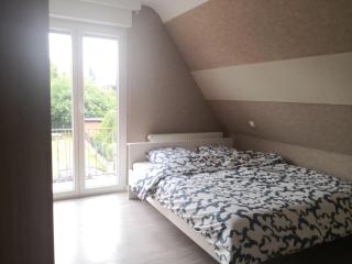 Chambre Chez l'habitant - Seltz - 2