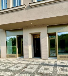 Apartmán Vinohradská 160 - Prag - 8