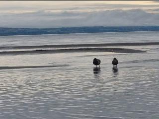 A 5 minutes du lac, 6 personnes - Sciez - 1