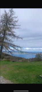 Choucas - Thollon-les-Mémises - 2