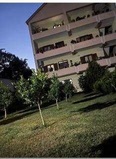 Room with garden view - Kamëz - 2