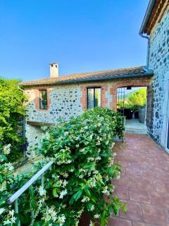 Belle maison de pierre pour 10p, 4ch, piscine privative, grand jardin clos - Alba-la-Romaine - 5