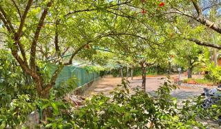 Villaggio Alberghiero Da Pepé - Marina di Camerota - 7