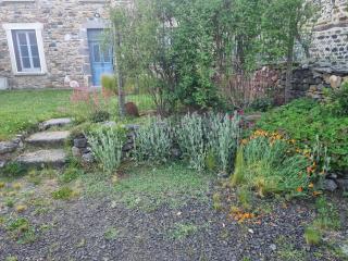 Les Chardonnerets - Jardin - Campagne - Blesle - 7