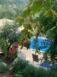 Villa Kovaci - Herceg-Novi - 9