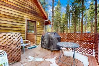 2538 Talbot cabin - South Lake Tahoe - 2