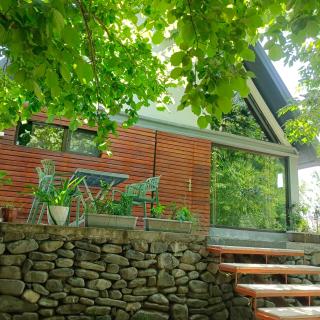 Woodland Paradise - 1