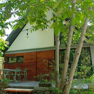 Woodland Paradise - Gabala - 5