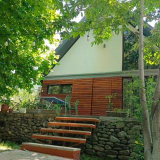 Woodland Paradise - Gabala - 8