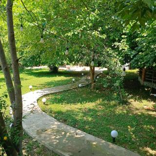 Woodland Paradise - Gabala - 2