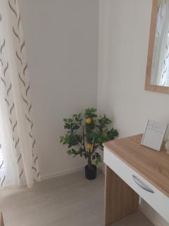 Ivana apartman 3 - Lovište - 4