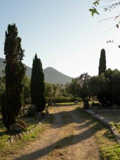 Résidence Spelonca - 6