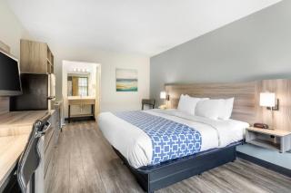 Suburban Studios Tysons Corner - Vienna - 5