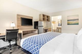 Suburban Studios Tysons Corner - Vienna - 4