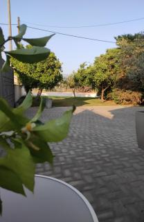 Cosy Garden Bungalow - 2