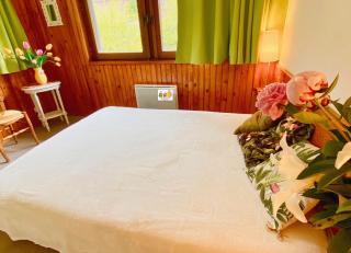 Gite le Renne - Besse-et-Saint-Anastaise - 5