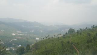 Varshinicottage kothkiri - Kotagiri - 9