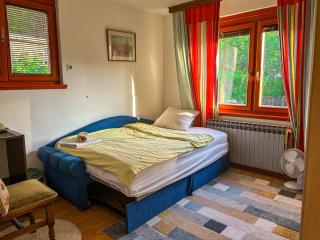 Cozy room with a bathroom - Sarajevo - 0
