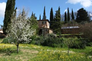 Bio B&B La Fanciullaccia - Capannoli - 3