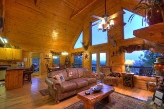 The View Sweeping mountain views gas fireplace game room hot tub - Blue Ridge - 8
