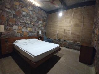 RajNikas Farm Pet friendly Glass House with pool - Behror - 4
