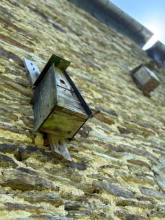 Arduinna's Nest B&B - 3