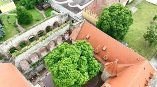 Stiftung Kloster und Kaiserpfalz Memleben - - 9