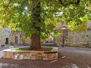 Stiftung Kloster und Kaiserpfalz Memleben - - 7