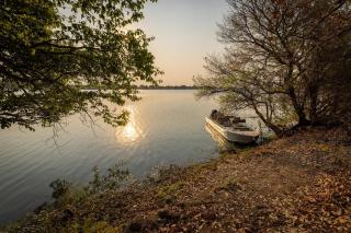 Rain Tree Camp - Chunga - 6