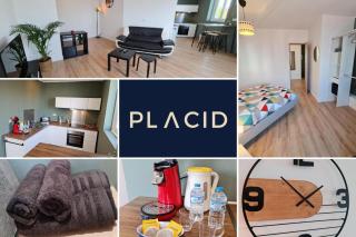 Le ScottmanHouse - Appartement privé - Centre ville - Gare - Wi-Fi - Arras - 9