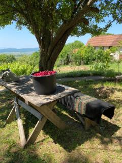 Organska Farma Nebesa - Vrmdža - 2