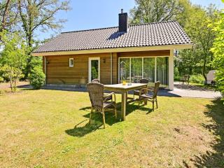 Chalet with gorgeous view of the natural surroundings - Weerselo - 0
