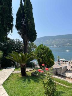 Apartmani Kukoljac - Herceg-Novi - 0