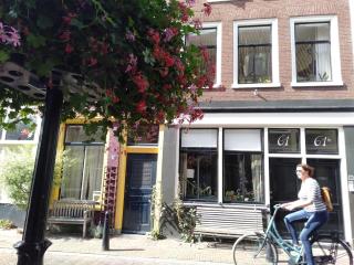 SpringApartment spacious in heart of Utrecht - Utrecht - 6