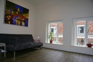 SpringApartment spacious in heart of Utrecht - Utrecht - 4