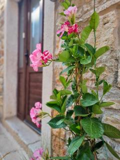 Apartment Ane - Bale - 6