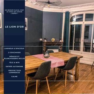 Le Lion d'Or - Appartement d'Exception - Hyper-Centre - Arras - 9