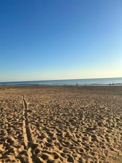 Apartamento Delfin - Punta Umbria - Punta Umbría - 9