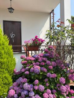 B&B IL TULIPANO free private parking - 3