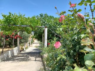 Skyros BnB Calliope in Molos - Skiros - 6