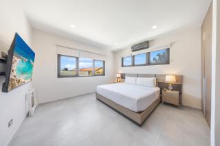 LUX 4BR and 3BA Villa with Pool Malmokweg 48 by Bocobay - Palm-Eagle Beach - 2